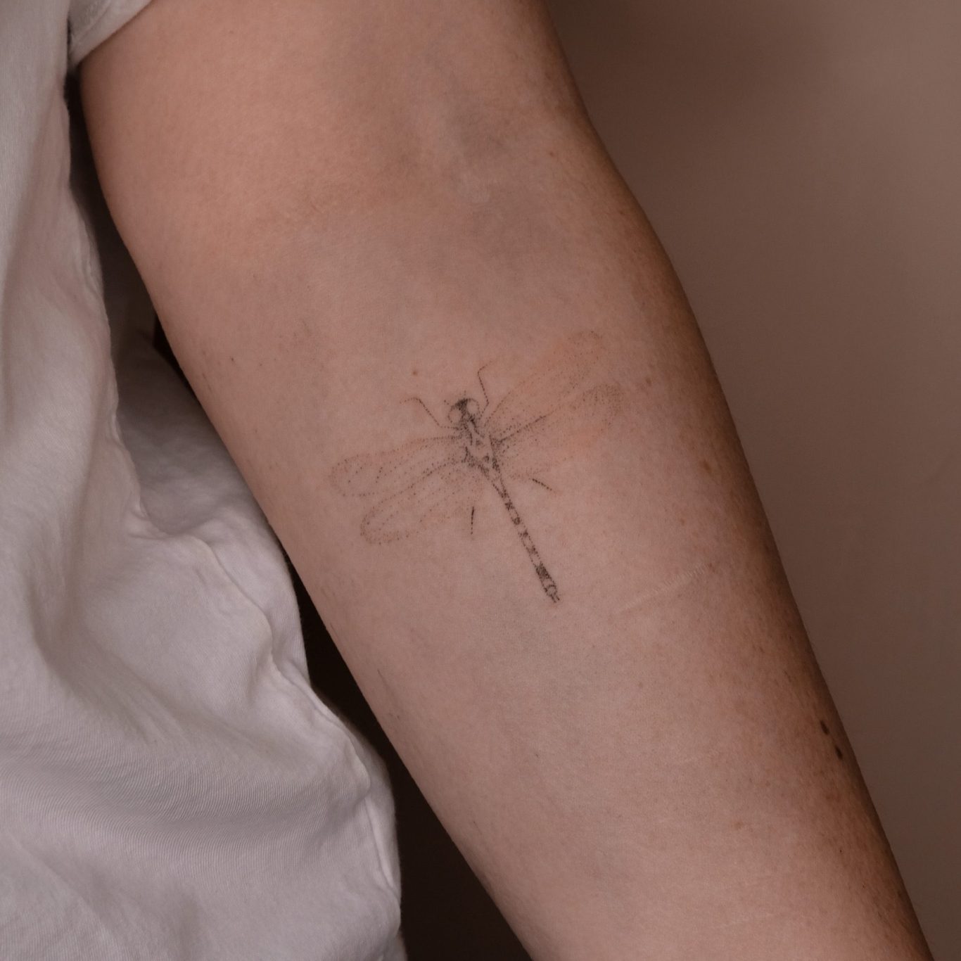 Dragonfly tattoo newsletter photos