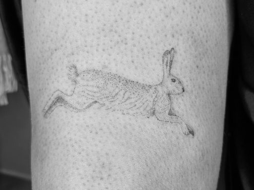Handpoked Hare